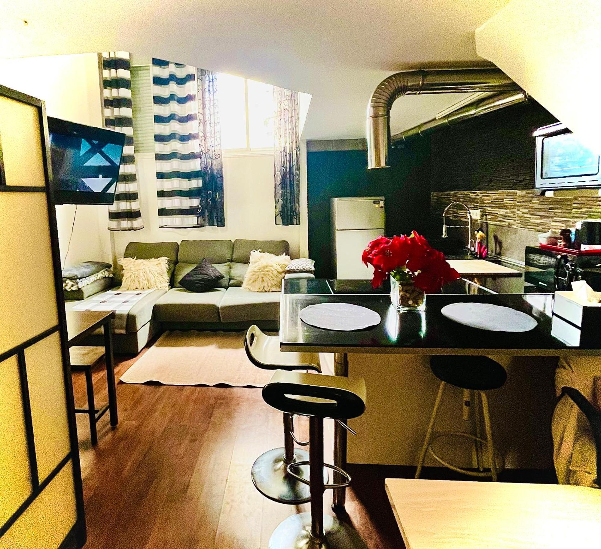 Appartement Loft Duplex *